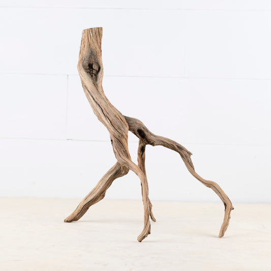 16" Manzanita Branch, Aquarium Wood, Aquascape Driftwood, Fish Tank Decor, Terrarium Branch