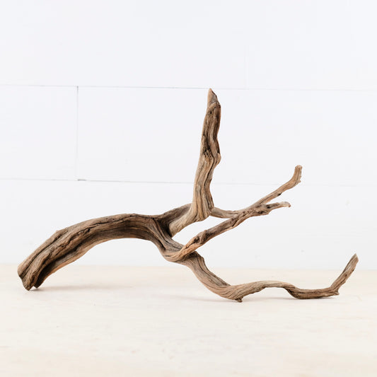 16" Manzanita Branch, Aquarium Wood, Aquascape Driftwood, Fish Tank Decor, Terrarium Branch