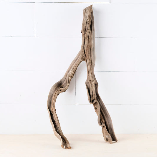 Manzanita 23" Branch, Aquascape Driftwood, Aquarium Wood, Natural Fish Tank Decor, Reptile Vivarium Branch