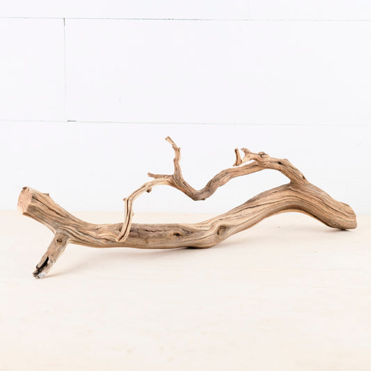 17" Manzanita Branch, Aquarium Wood, Narrow Aquascape Driftwood, Fish Tank Decor, Terrarium Branch
