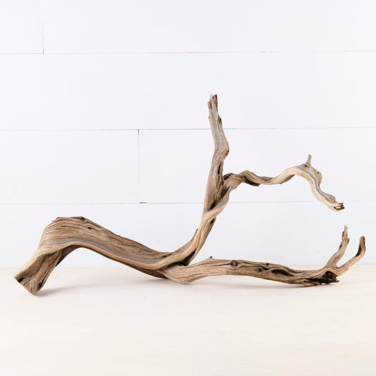 Manzanita 20" Branch, Aquascape Driftwood, Aquarium Wood, Natural Fish Tank Decor, Reptile Vivarium Branch