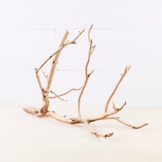 Manzanita 17" Branch, Aquascape Driftwood, Aquarium Wood, Natural Fish Tank Decor
