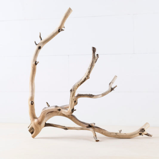 18" Manzanita Branch, Aquarium Wood, Aquascape Driftwood, Fish Tank Decor, Terrarium Branch