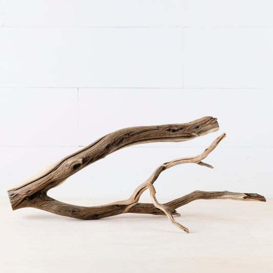 Manzanita 21" Branch, Aquascape Driftwood, Aquarium Wood, Natural Fish Tank Decor, Reptile Vivarium Branch