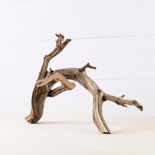 Manzanita 17" Branch, Aquascape Driftwood, Aquarium Wood, Natural Fish Tank Decor, Reptile Vivarium Branch