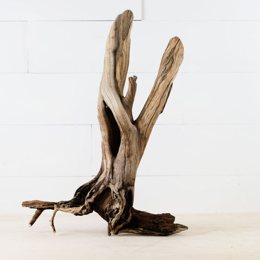 Manzanita 20" Driftwood Trunk, Aquarium Branch, Aquascape Decor, Natural Fish Tank Decor, Reptile Terrarium Wood