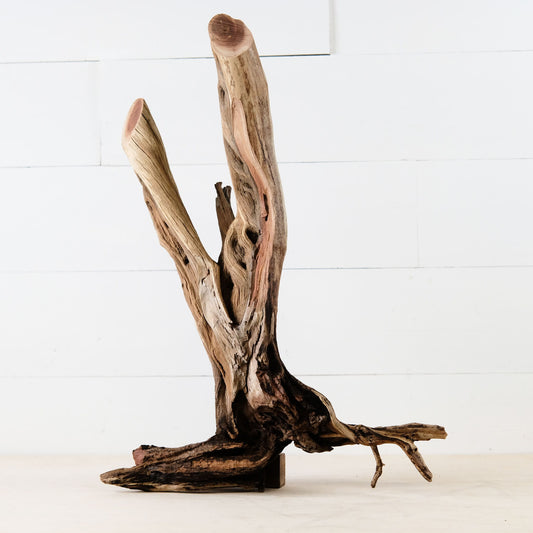 Manzanita 20" Driftwood Trunk, Aquarium Branch, Aquascape Decor, Natural Fish Tank Decor, Reptile Terrarium Wood
