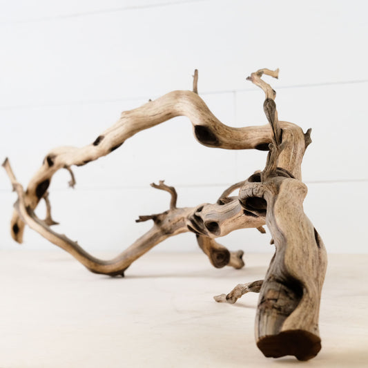 Manzanita 30" Branch, Aquascape Driftwood, Natural Terrarium Wood, Aquarium Centerpiece, Vivarium Enrichment