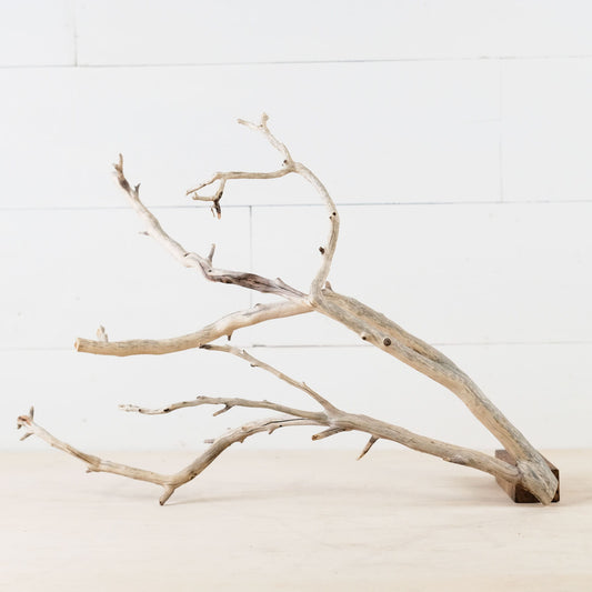 18" Manzanita Branch, Aquarium Wood, Aquascape Driftwood, Fish Tank Decor, Terrarium Branch