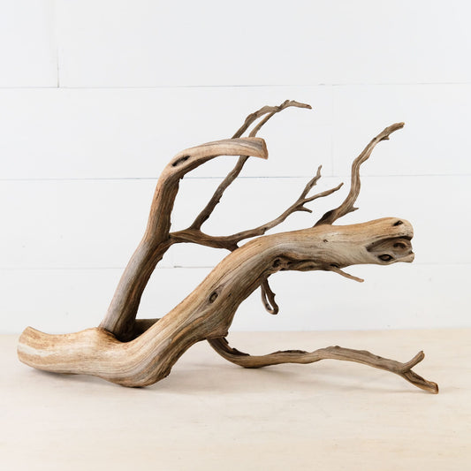 Manzanita 22" Branch, Aquascape Driftwood, Natural Terrarium Wood, Aquarium Decor, Vivarium Branch