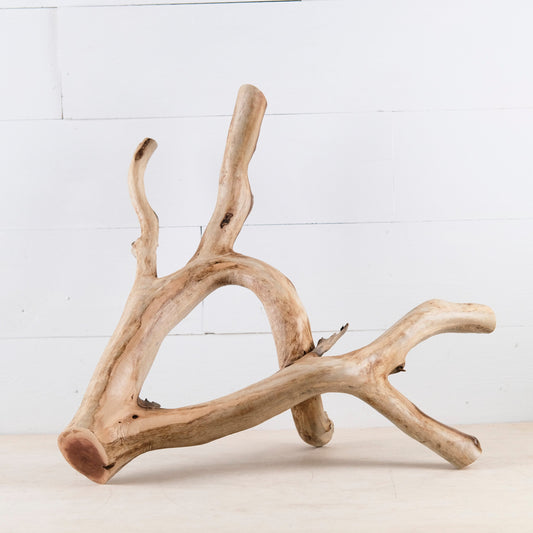 Manzanita 20" Branch, Large Aquascape Driftwood, Aquarium Wood Centerpiece, Natural Fish Tank Decor, Reptile Vivarium Branch