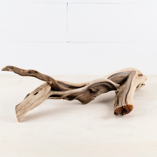 Manzanita 19" Branch, Aquascape Driftwood, Aquarium Wood, Natural Fish Tank Decor, Reptile Vivarium Branch