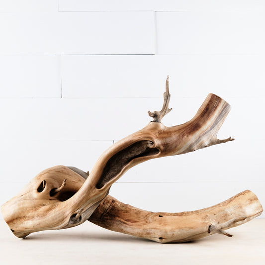 Manzanita 28" Branch, Large Aquascape Driftwood, Aquarium Wood, Natural Fish Tank Decor, Reptile Terrarium Enrichment, Vivarium Climb