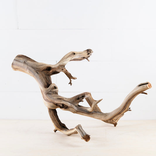 Manzanita 18" Branch, Aquascape Driftwood, Natural Terrarium Wood, Aquarium Decor, Vivarium Branch
