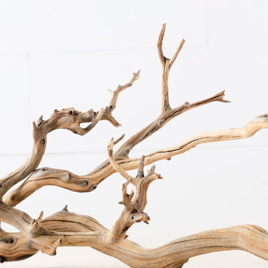 Manzanita 13-15" Driftwood Branches (Set of 2), Aquarium Decor, Aquascape Branch, Terrarium Wood, Natural Fish Tank Decor