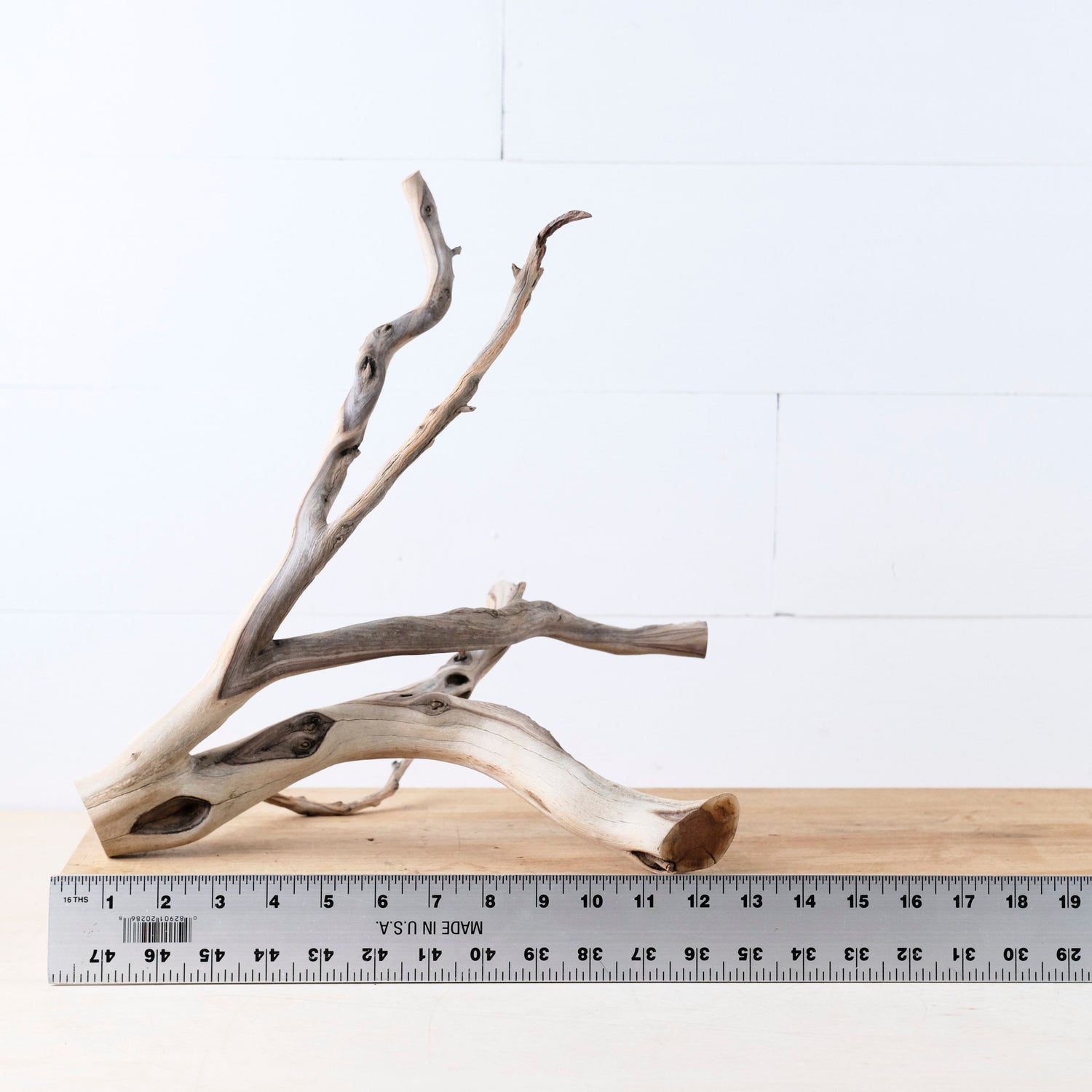 Manzanita 15" Branch, Aquascape Driftwood, Natural Terrarium Wood, Aquarium Decor, Vivarium Branch