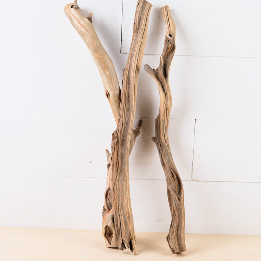 Manzanita 20"-21" Driftwood Sticks (Set of 3), Sturdy Reptile Branches, Vivarium Wood, Long Terrarium Branches, Thick Craft Sticks