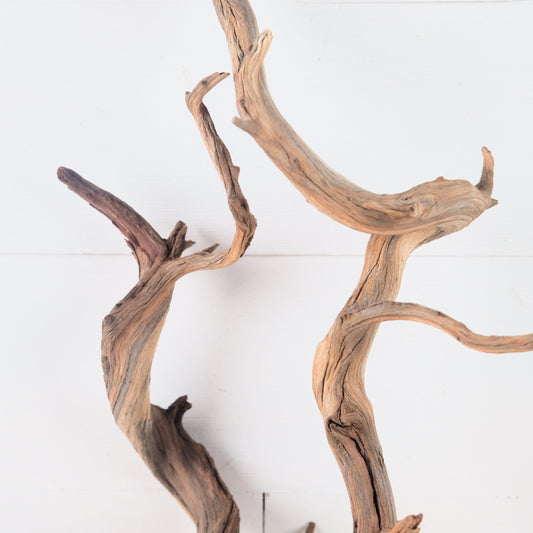 Manzanita 19"-26" Branches (Set of 2), Aquarium Driftwood, Natural Terrarium Wood, Aquascape Decor