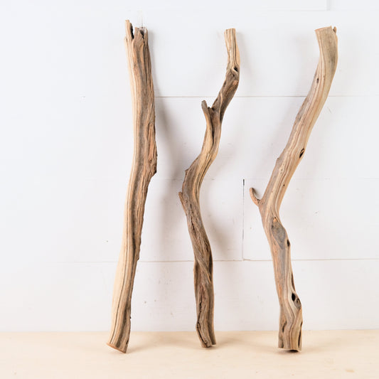 Manzanita 20"-21" Driftwood Sticks (Set of 3), Sturdy Reptile Branches, Vivarium Wood, Long Terrarium Branches, Thick Craft Sticks